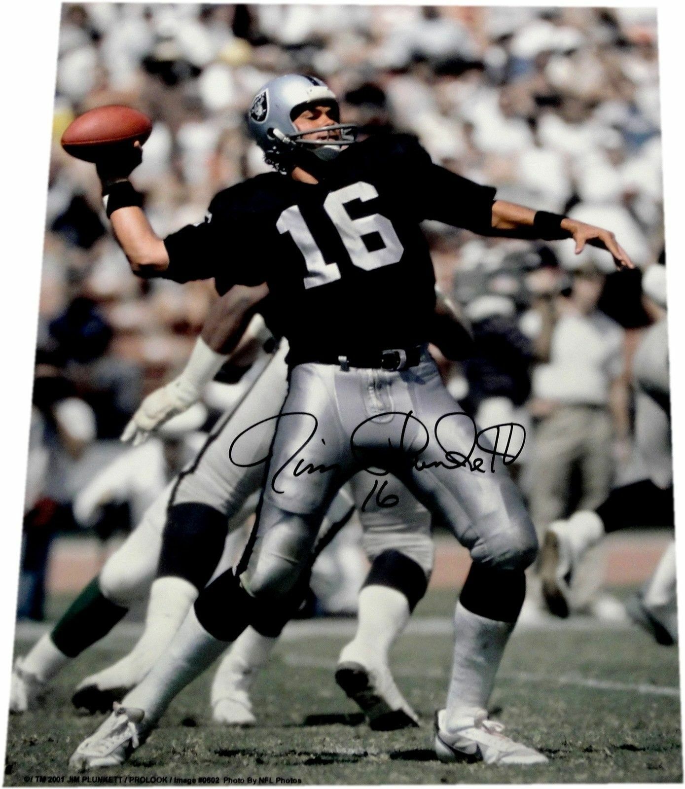 Jim Plunkett Hand Signed Autographed 16x20 Photo Poster painting Oakland Raiders #16