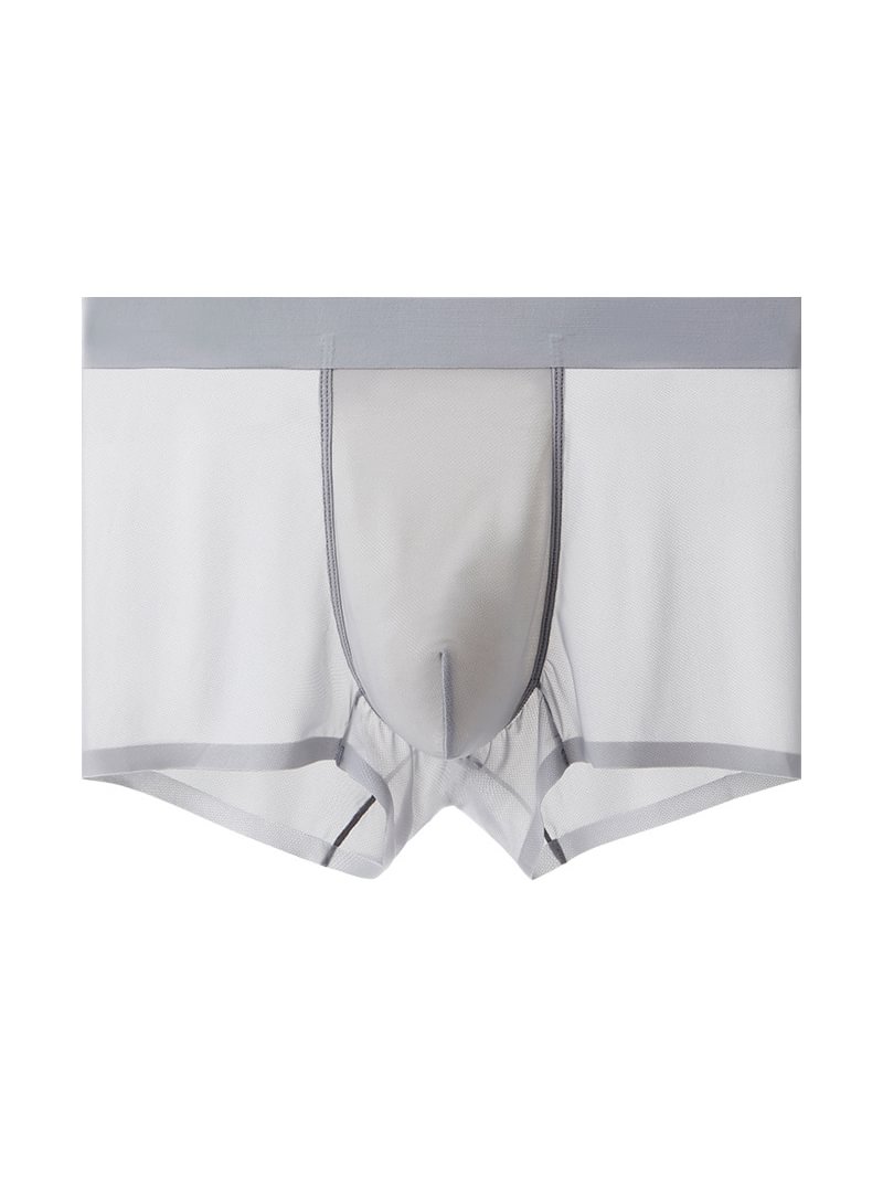 Comfy Viscose Breathable Mesh Underwear in  mildstyles