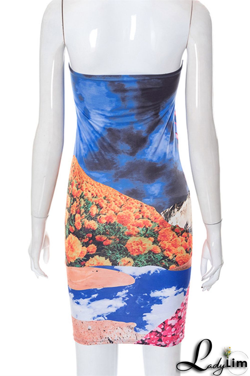 Multicolor Fashion Sexy Print Backless Strapless Sleeveless Dress