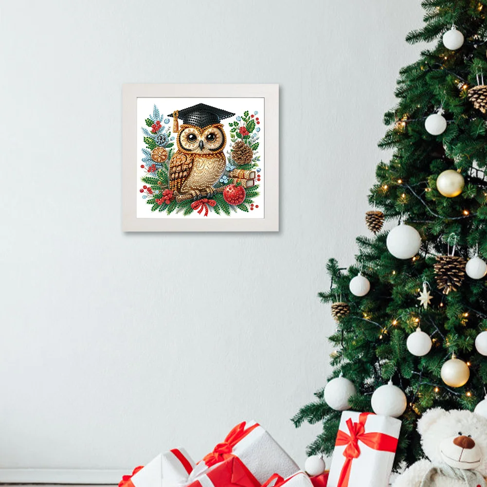 5D DIY Partial Special Shaped Drill Diamond Painting Xmas Owl 22.8x22.8cm【With Frame】