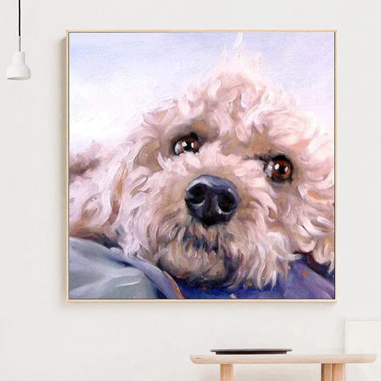 DIY 5D Diamond Painting Kits for Adults Diamond Painting by Number Kits for  Adults Paint Dog Golden Doodle Puppy Animal Pet DIY Rhinestone Arts Craft