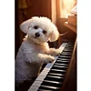 Bichon Frise Playing Piano-11CT Counted Cross Stitch 40*60cm/15.75*23.62in(Big Size)