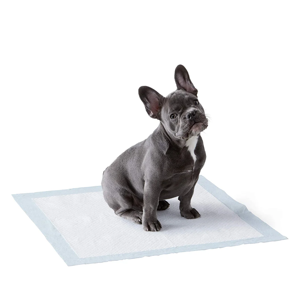 Dog and Puppy Pads, Leak-proof 5-Layer Pee Pads with Quick-dry Surface for Potty Training