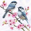 Blossom Birds Bead Embroidery Kit Pre-Printed Bead Cross stitch