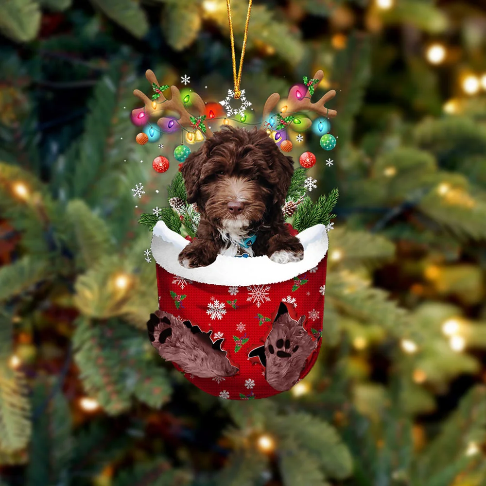 Chocolate Goldendoodle In Snow Pocket Christmas Ornament