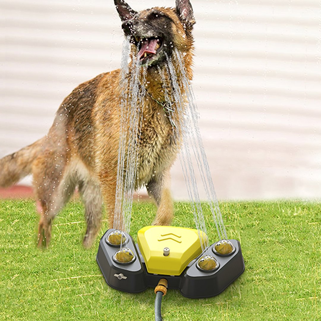 Outdoor Dog Water Fountain - Auto Pet Water Dispenser System