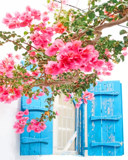 

Mykonos Greece Pink Flowers – Paint By Numbers - 40*50CM, 501 Original