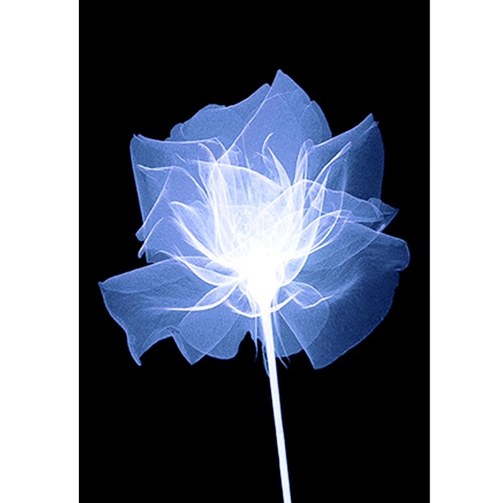 

30*40CM-Round Drill Diamond Painting-Blue Flower, 501 Original