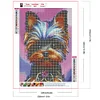 Yorkshire Terrier - Rundbohrer Diamant Malerei - 30*40cm