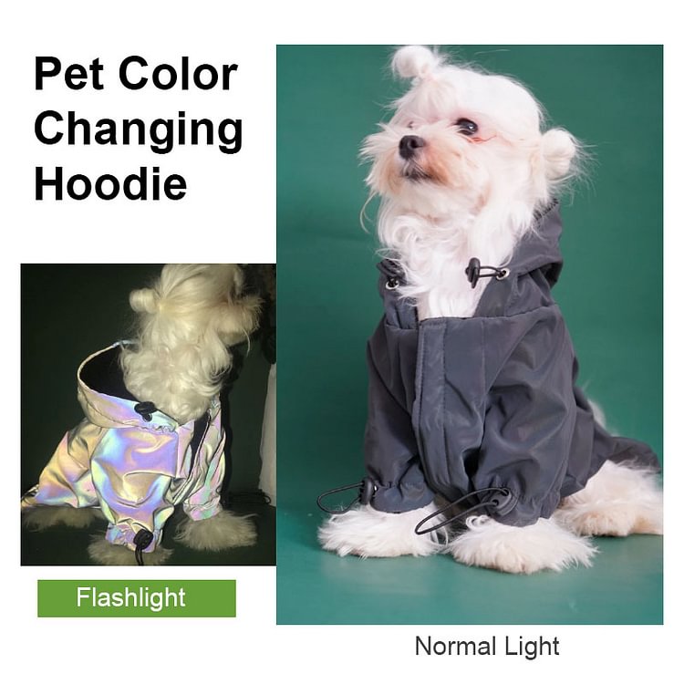 petlora Cat and Dog Hoodie Colorful Laser / Colors Reflective Clothes XS-7XL
