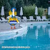 Goose Clothing with Umbrella Funny Raincoat and Hat Costume for Patio Yard Decor