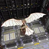 Da Vinci Ornithopter Assembled Music Box