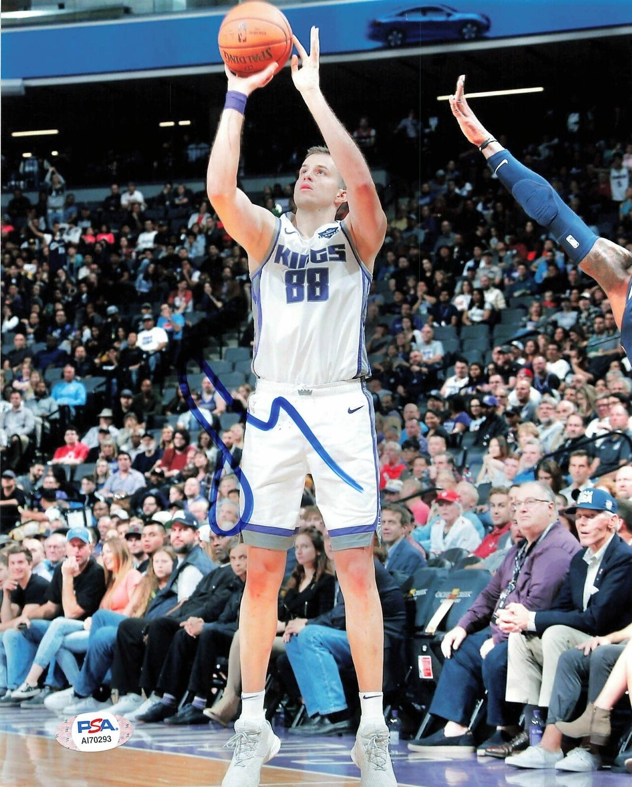 NEMANJA BJELICA signed 8x10 Photo Poster painting PSA/DNA Sacramento Kings Autographed