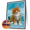 Kitten-Peinture diamant foret rond-30*40cm