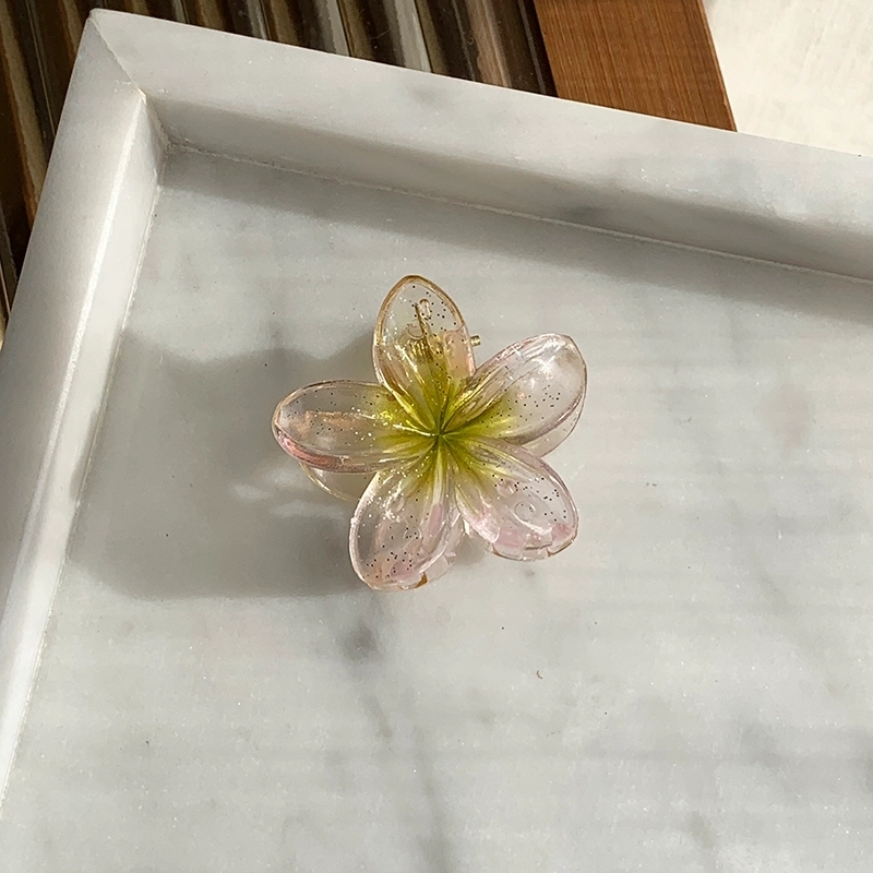 Women’s Sweet Minimalist Flower Plastic Hair Claws
