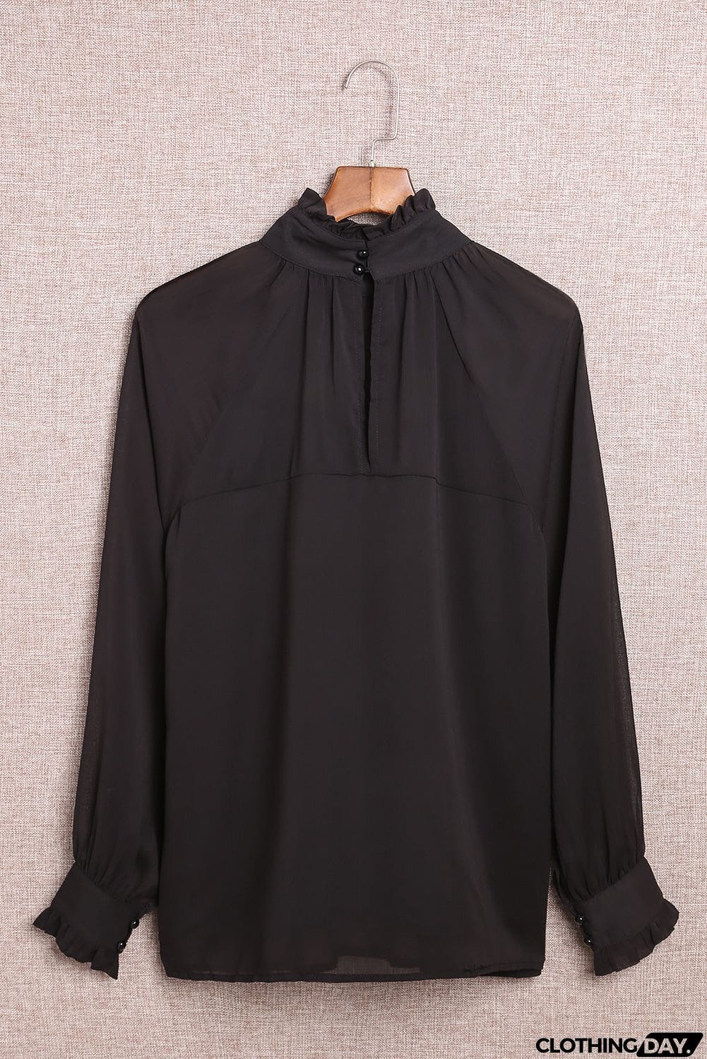 Sheer Ruffled Turtleneck Blouse