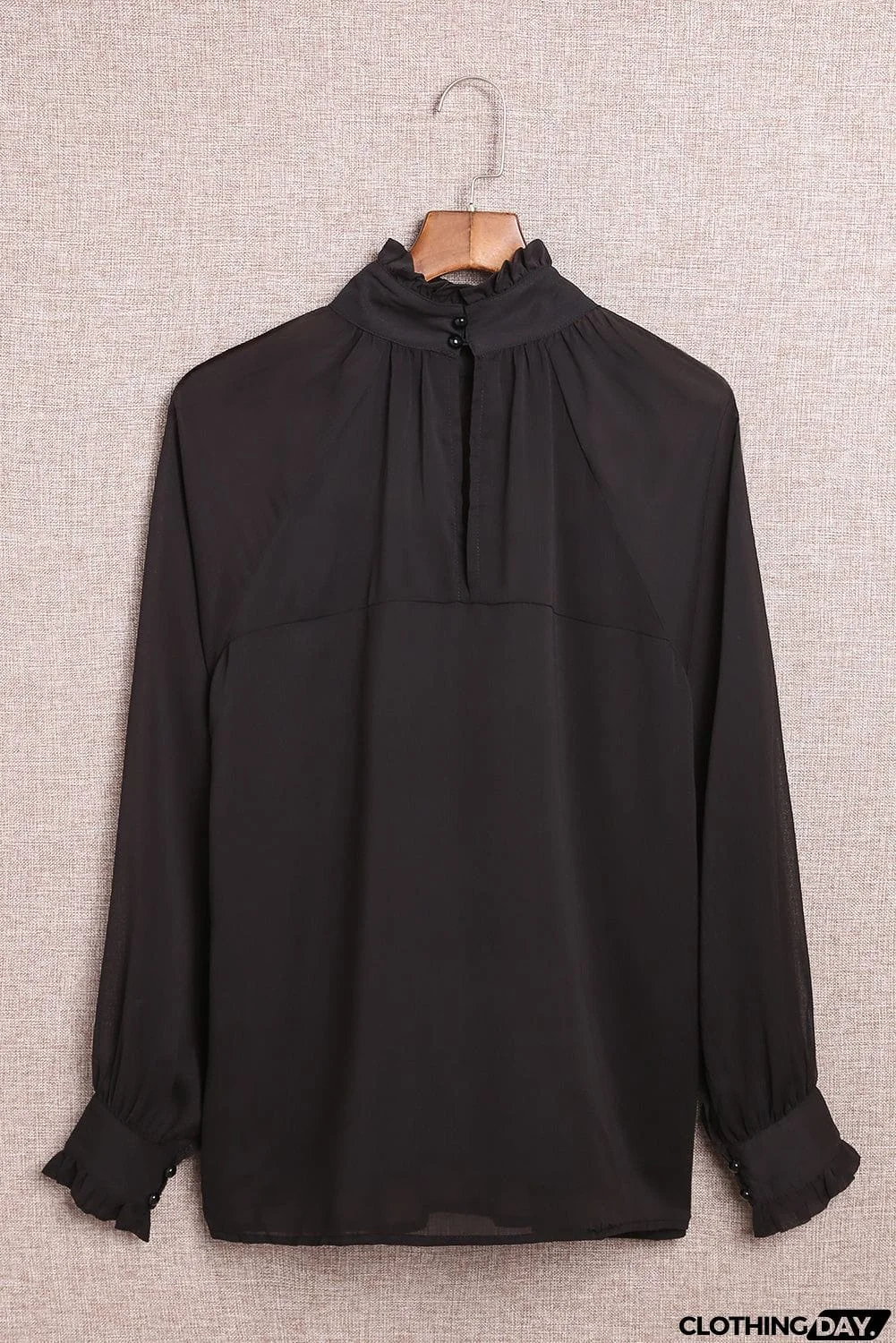 Sheer Ruffled Turtleneck Blouse