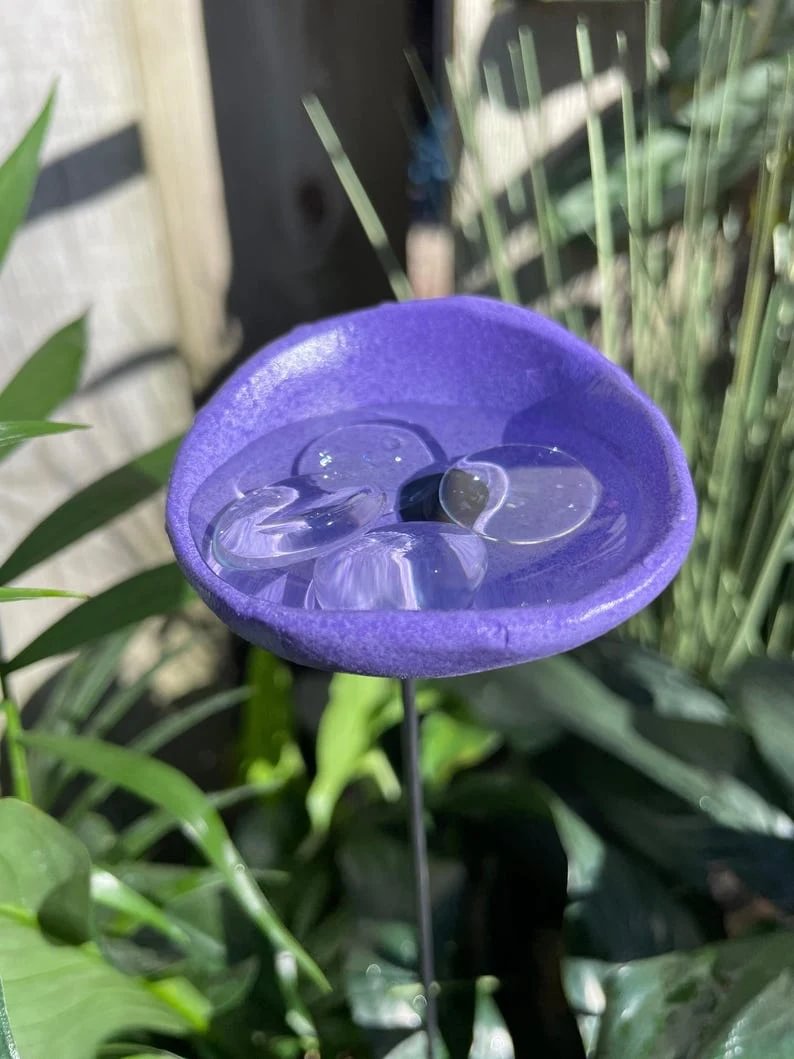 🎖️July 4th Flash Sale: 50% OFF Sitewide! 🐝Bee Watering Station,🦋Butterfly Puddler,Hummingbird Drinking Cups