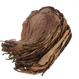 10pcs Indian Almond Leaves for Betta Fish Aquarium