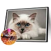 Kitty 5d DIY Diamond Painting Kits volle runde Bohrer Wanddekoration Handwerk (NH2609)