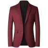 Two Buttoned Blazer