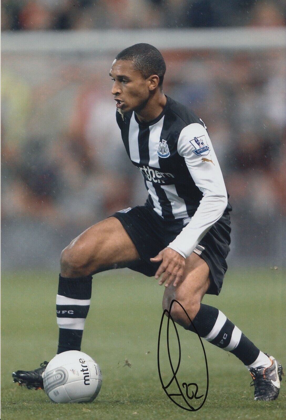 Sylvain Marveaux Hand Signed 12x8 Photo Poster painting Newcastle United - Football Autograph.