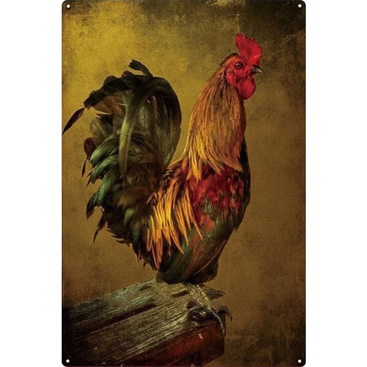 Farm sign chicken zone eggs - enseignes en étain vintage / enseignes en bois - 7.9x11.8in & 11.8x15.7in