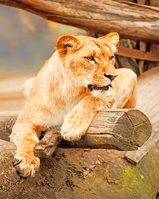 

Brown Lioness – Paint By Numbers - 40*50CM, 501 Original