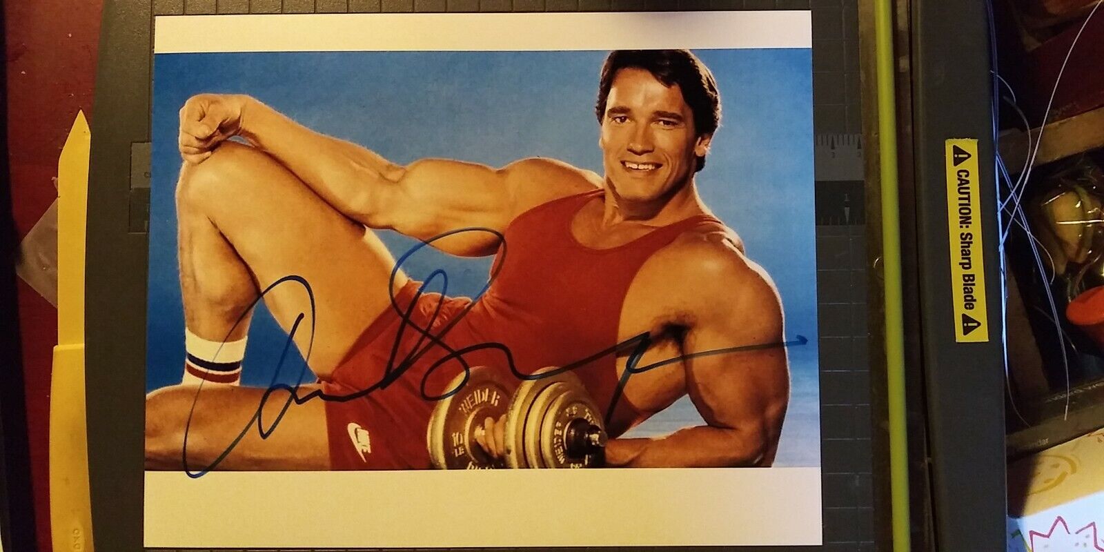 Arnold Schwarzenegger signed 8x10