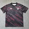 Joyfball 2025/2026 Bayern Munich Pre-Match Football Jersey 1:1 Thai Quality