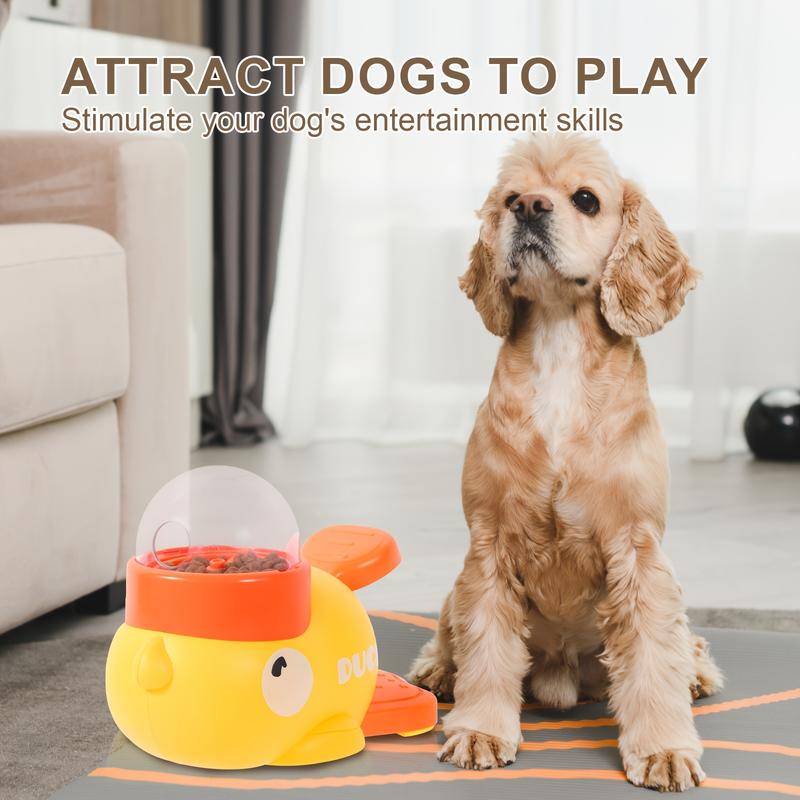 Invite Curious Pets to Play