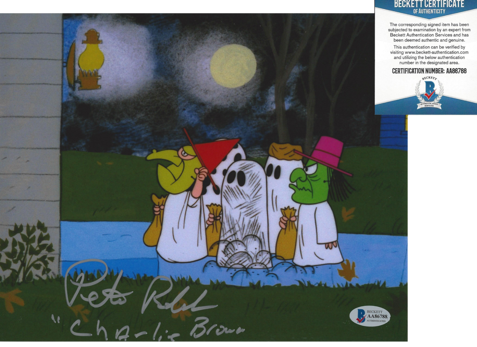 PETER ROBBINS PEANUTS VOICE OF CHARLIE BROWN SIGNED 8x10 Photo Poster painting E BECKETT COA BAS