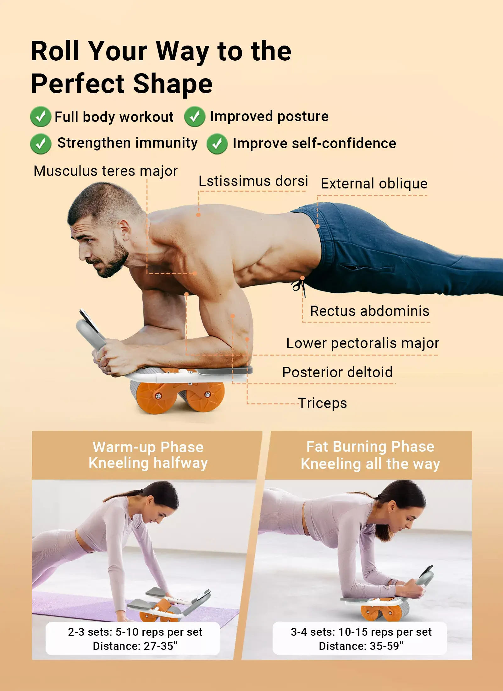 ab roller for workout