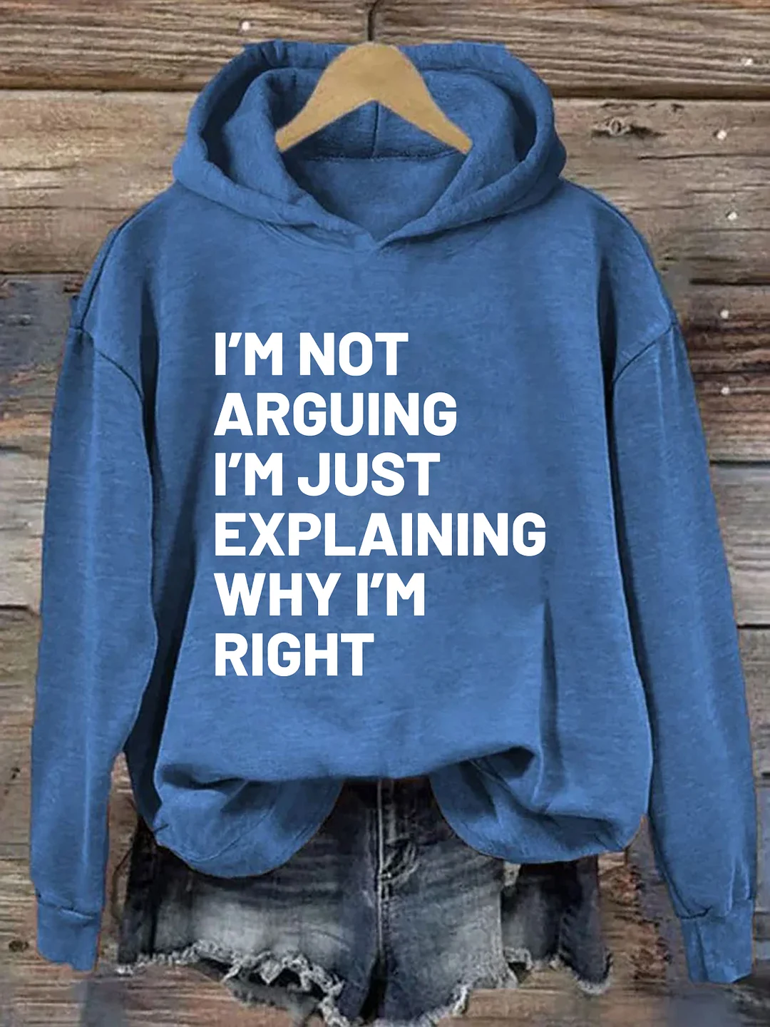 Not Arguing I'm Just Explaining Why I'm Right Hoodie