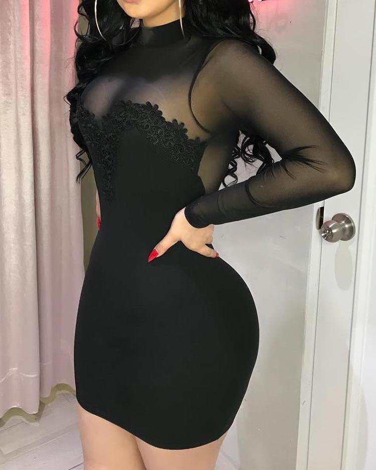 Sheer Mesh Flower Applique Bodycon Dress Black Dresses