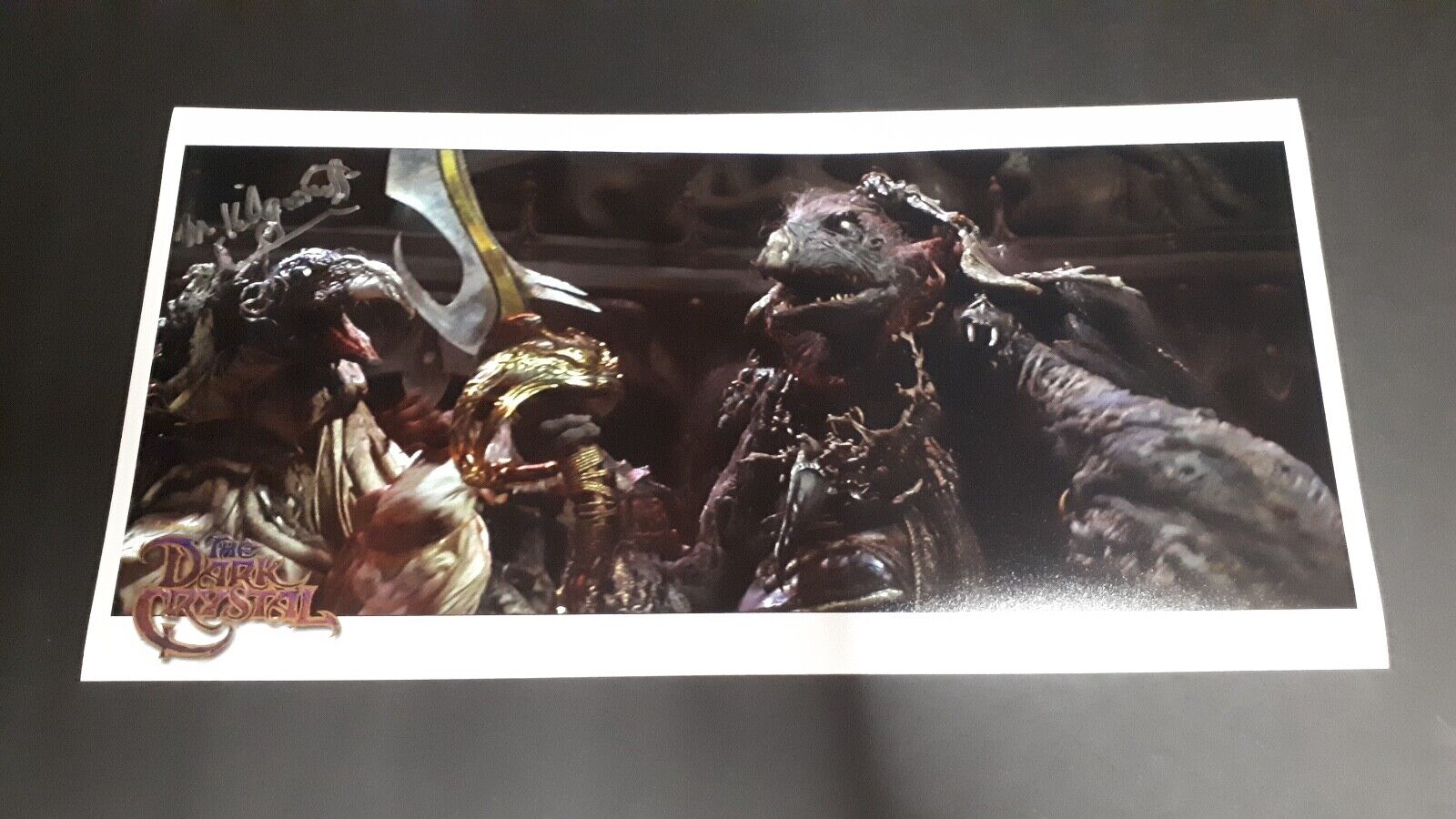 Michael Kilgarriff signed autograph Photo Poster painting 8x16 COA the Dark Crystal in person D