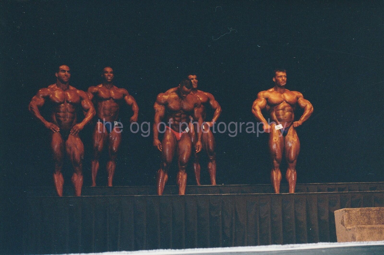 MUSCLE MEN Found Photo Poster paintinggraph Photo Poster paintingGRAPHER GENE MOZEE Bodybuilding POSERS 92 11 E