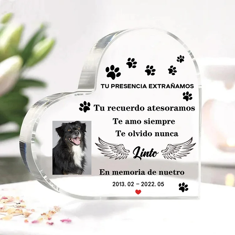 Placa de acrílico en forma de corazón con 1 foto, 1 nombre y año personalizados para conmemoración a mascota