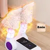 👟 S&Egrave;CHE-CHAUSSURES &Eacute;LECTRIQUE &ndash; S&Eacute;CHAGE RAPIDE + ST&Eacute;RILISATION UV!  