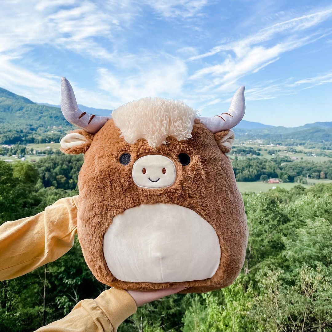 calton the highland cow squishmallow