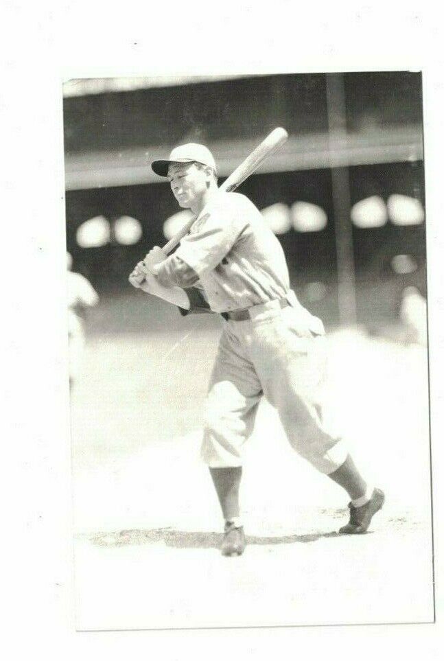 Vintage Roy Johnson Red Sox Yankees Tigers 4x6 Kodak Photo Poster painting Postcard RH2