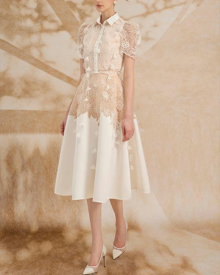 Women's Short Sleeve Lace Lapel Dress