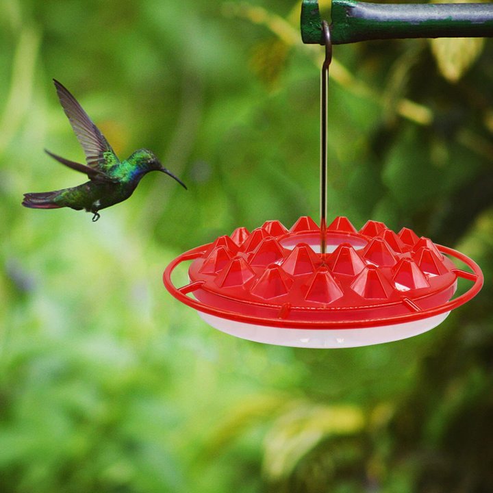 Hummingbird Feeder With Perch