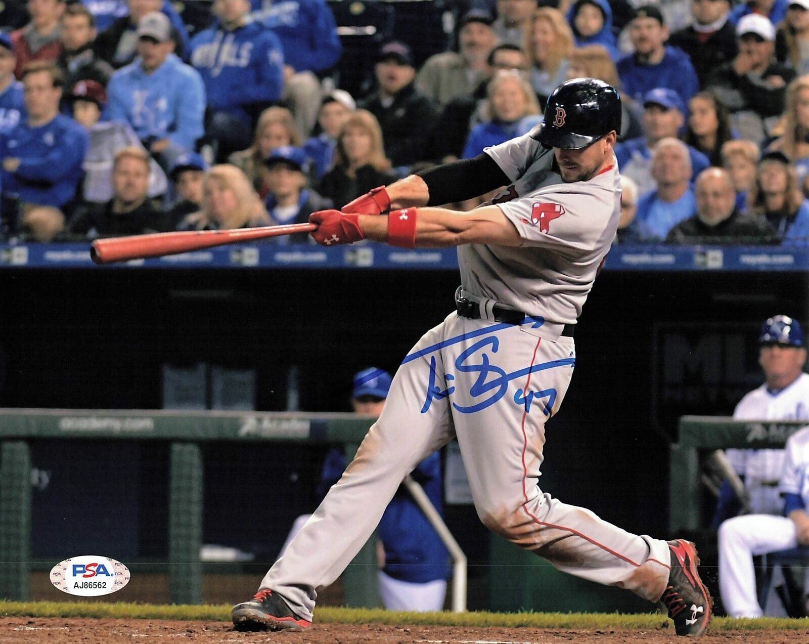 Travis Shaw signed 8x10 Photo Poster painting PSA/DNA Boston Red Sox Autographed