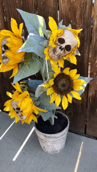 halloween skull sunflowers