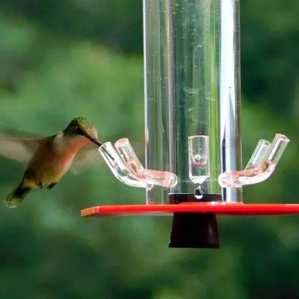 Peter&rsquo;s Hummingbird Feeder
