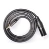 TRS 3.5 to XLR cable