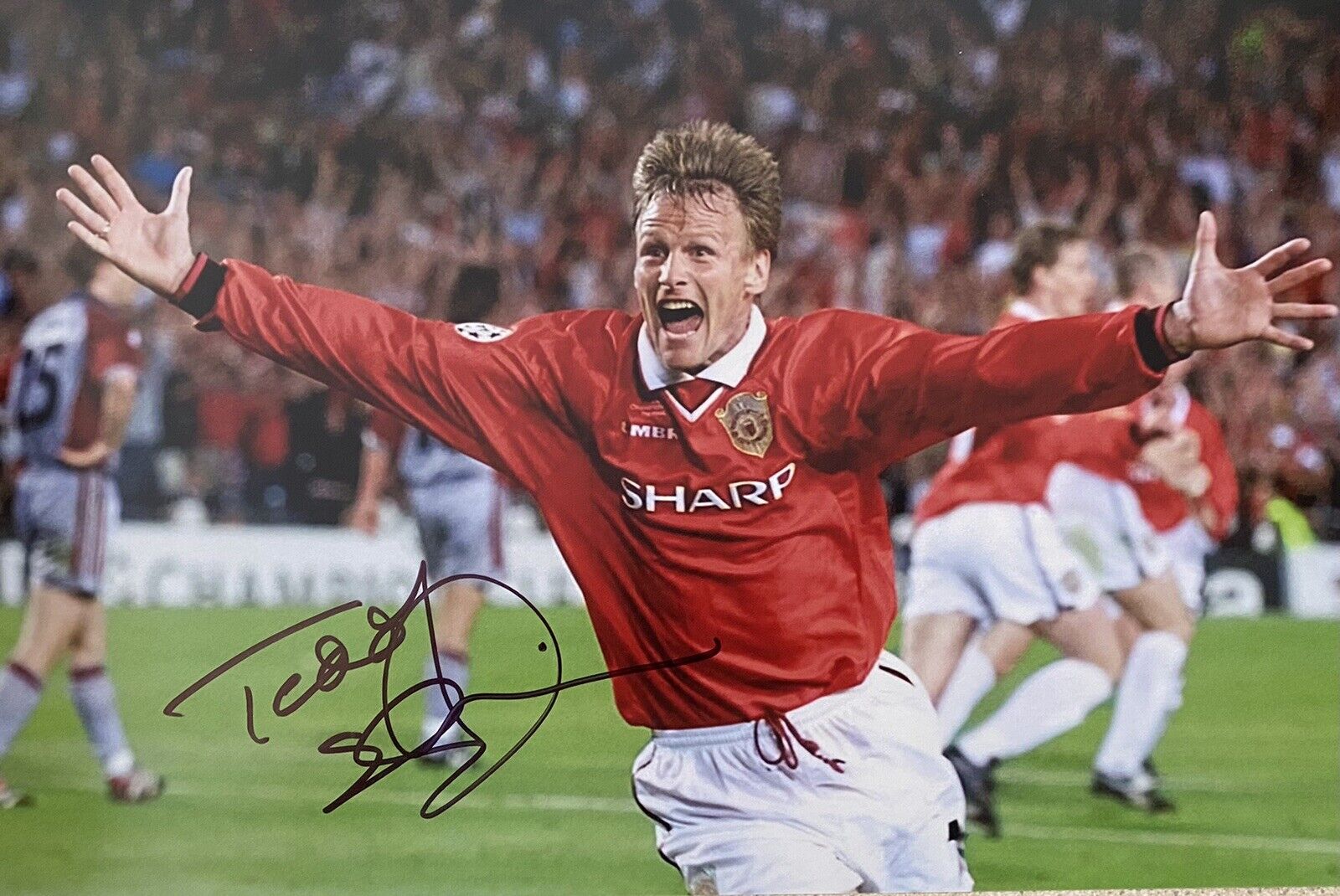 Teddy Sheringham Genuine Hand Signed Manchester United 12x8 Photo Poster painting