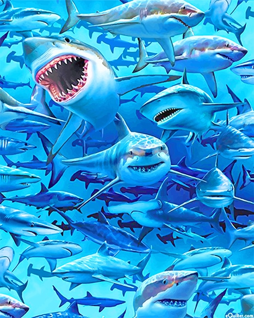 

White Sharks Frenzy Beach – Paint By Numbers - 40*50CM, 501 Original