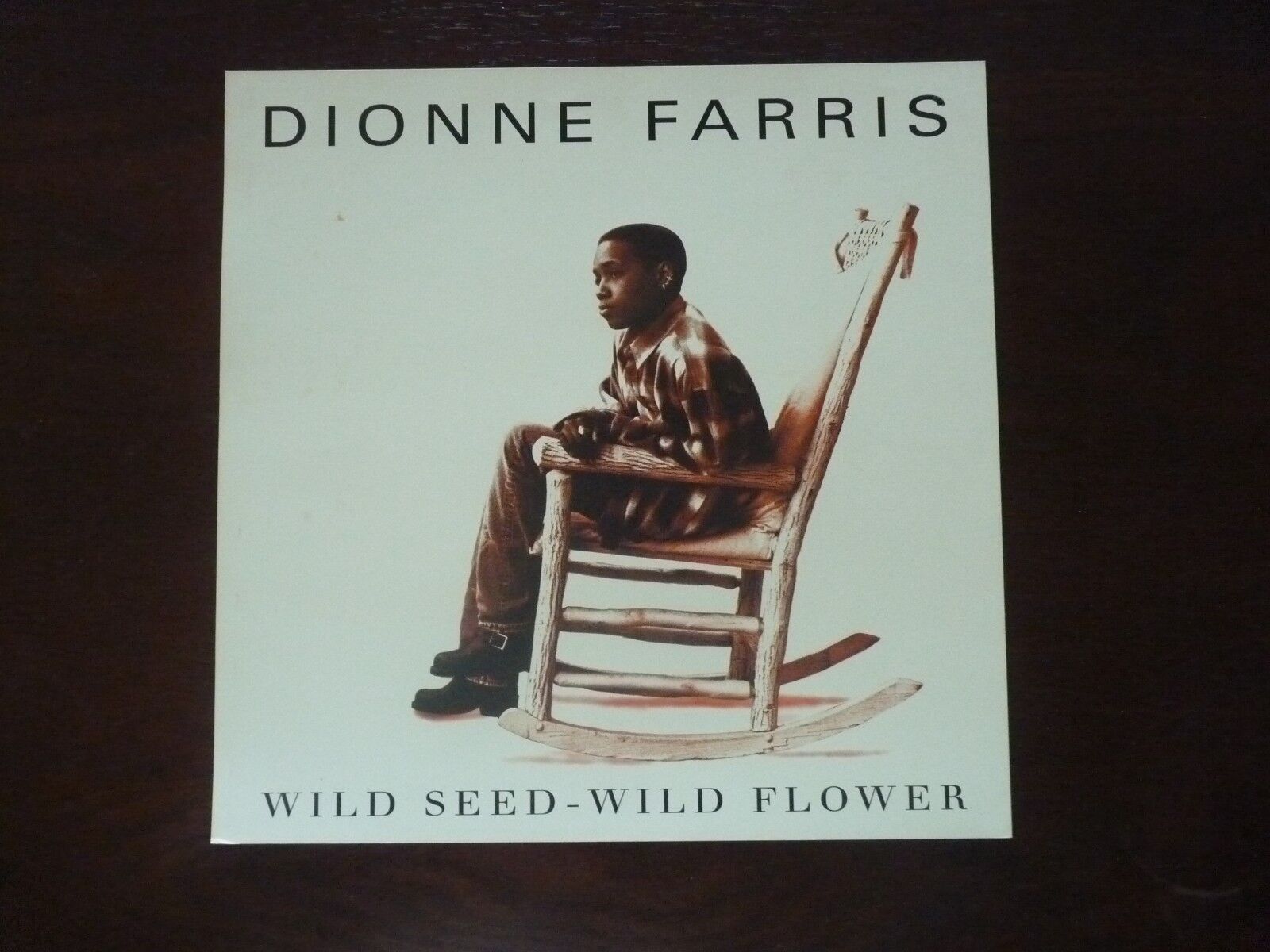 Dionne Farris Wild Seed Wild Flower LP Record Photo Poster painting Flat 12x12 Poster